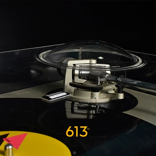 Detalle Tapa Decksaver Dustcover Technics 1200 613