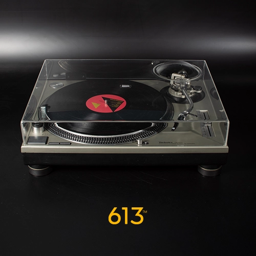 Tapa Decksaver Dustcover Technics 1200 613 Tapa Decksaver Dustcover Technics 1200 613